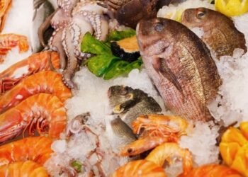 Seafood Exports - India 2025